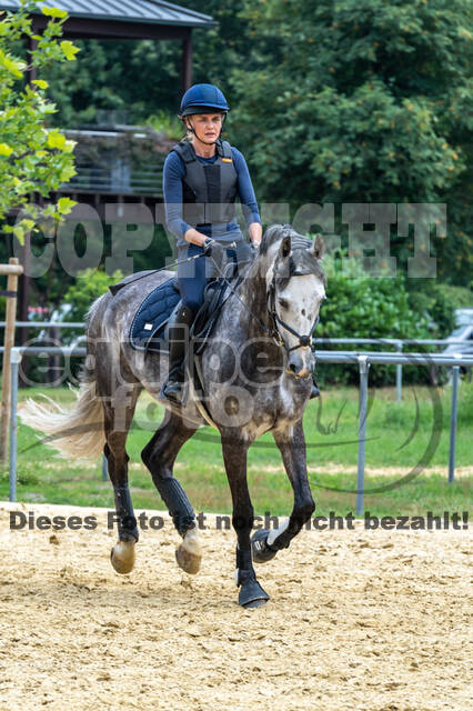 Hunter Geländetraining 10.07.2021 (Sonsbeck)