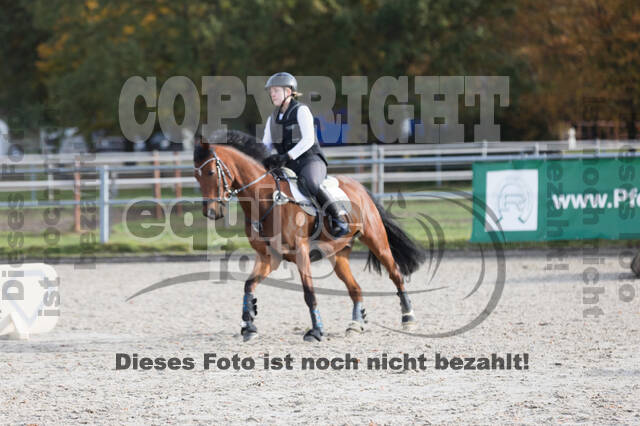 IGV Lehrgang der Sieger der Cups mit Frank Ostholt