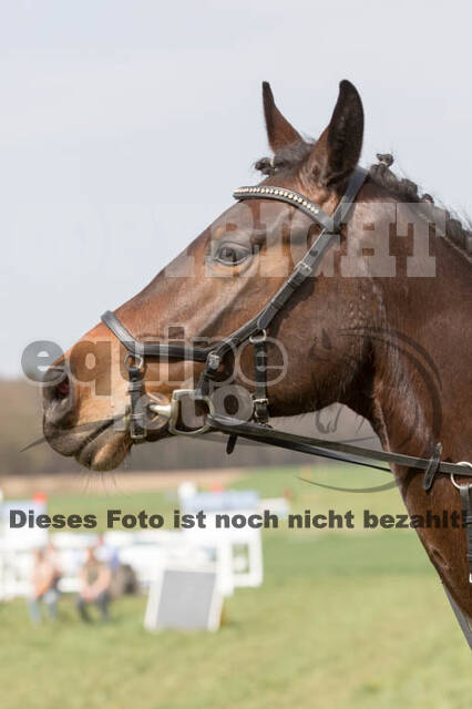Frühjahrsvielseitigkeit RV Seydlitz Kamp