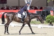 FEI European Championship