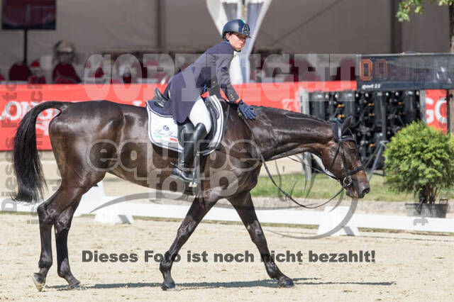 FEI European Championship
