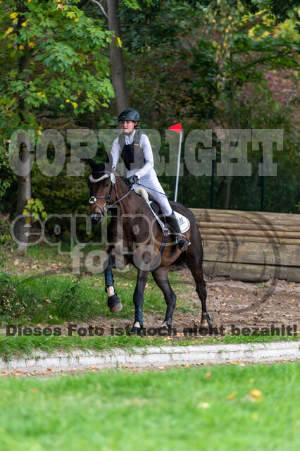 Goldene Schärpe 2020 - Pferde