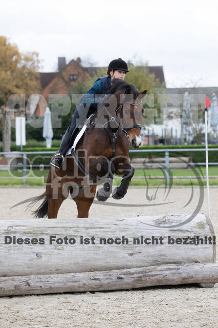 IGV Lehrgang der Sieger der Cups mit Frank Ostholt