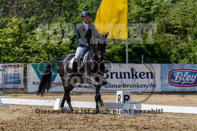 Westerstede Horse Trials 2021
