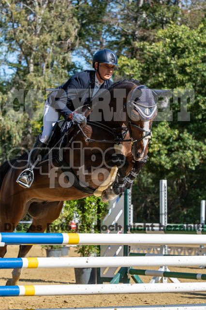 RFV Dinslaken-Hiesfeld (Herbstturnier)