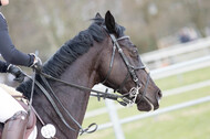 Eventing Langenfeld 2018