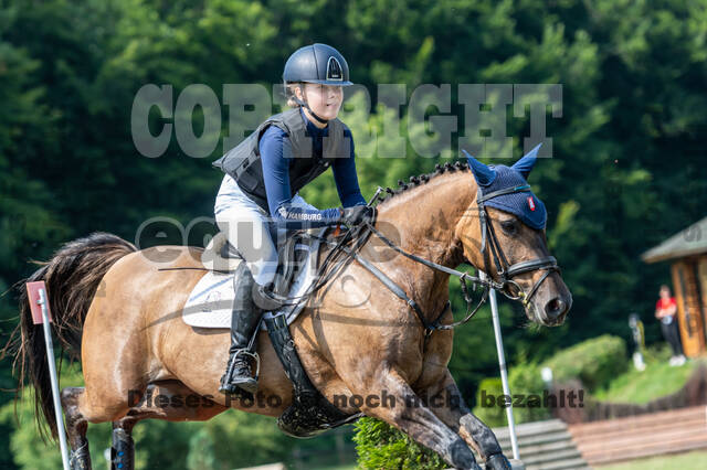Goldene Schärpe 2021 - Ponys