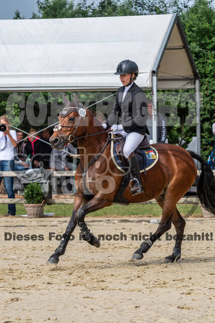 Goldene Schärpe 2021 - Ponys