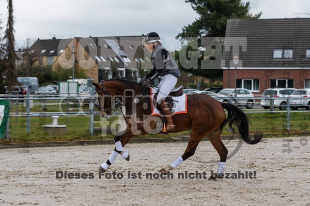 Eventing im Pferdesportzentrum Rheinland (Late Entry 14.03.2022)