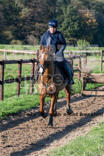 Vielseitigkeitslehrgang mit Jürg Kurbel (9.+10.11.2019)