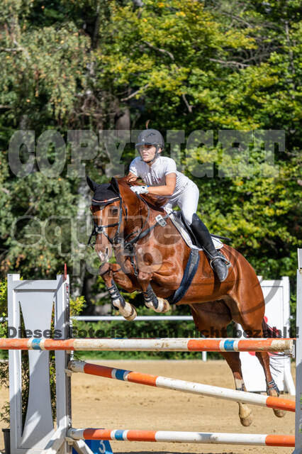 RFV Dinslaken-Hiesfeld (Herbstturnier)