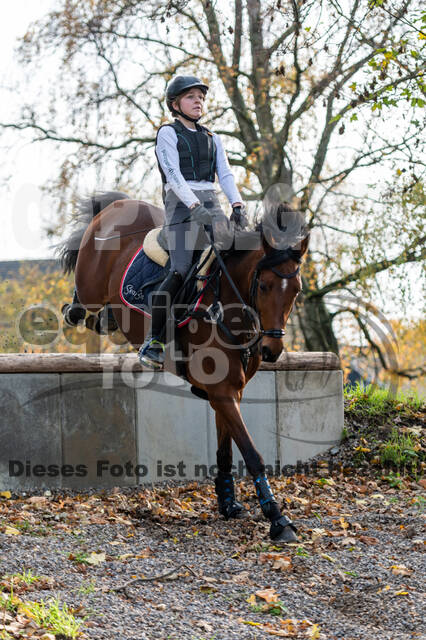 IGV Lehrgang der Sieger der Cups mit Frank Ostholt