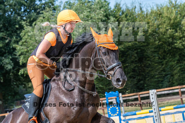 Hunter Geländetraining (16.08.2020)
