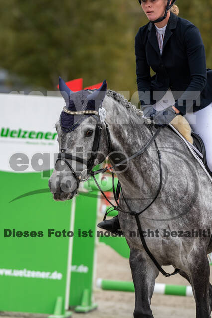 Deutsche Meisterschaft Vielseitigkeit (Luhmühlen)