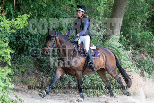 Late-Entry-Vielseitigkeit Langenfeld (11.+13./14.06.2020)