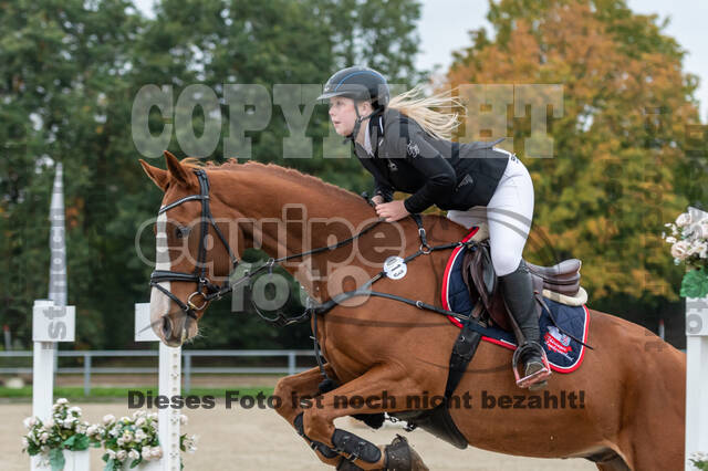 Goldene Schärpe 2020 - Pferde