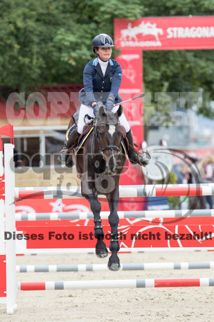FEI European Championship