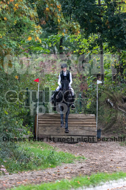 Goldene Schärpe 2020 - Pferde