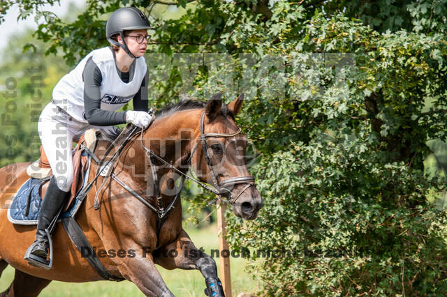 Late-Entry-Vielseitigkeit Gahlen (18.07.2020)