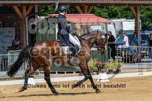 Westerstede Horse Trials 2021
