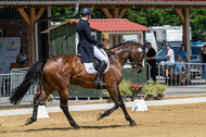 Westerstede Horse Trials 2021