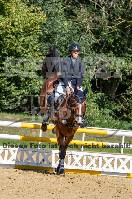 RFV Dinslaken-Hiesfeld (Herbstturnier)