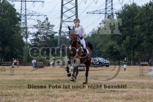Late-Entry Vielseitigkeit Hamminkeln/Wesel (01.+02.08.2020)