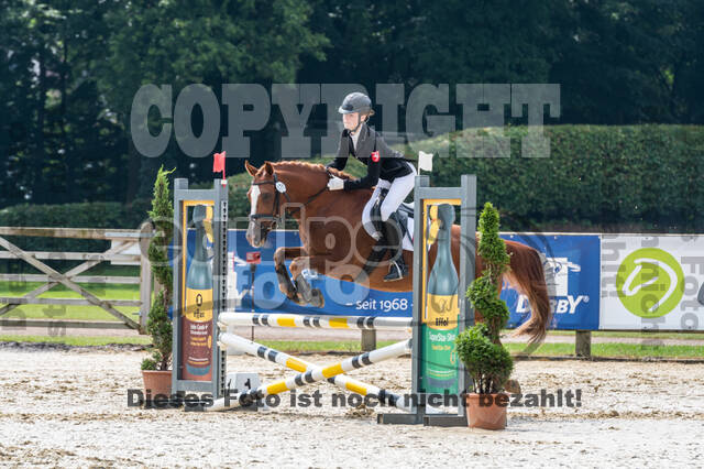 Goldene Schärpe 2021 - Ponys