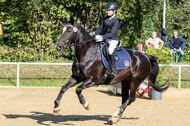 RFV Dinslaken-Hiesfeld (Herbstturnier)