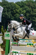 Goldene Schärpe 2021 - Ponys