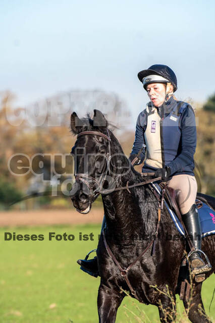 Vielseitigkeitslehrgang mit Jürg Kurbel (9.+10.11.2019)