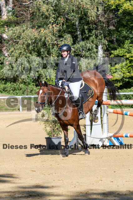RFV Dinslaken-Hiesfeld (Herbstturnier)