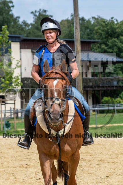 Hunter Geländetraining 10.07.2021 (Sonsbeck)