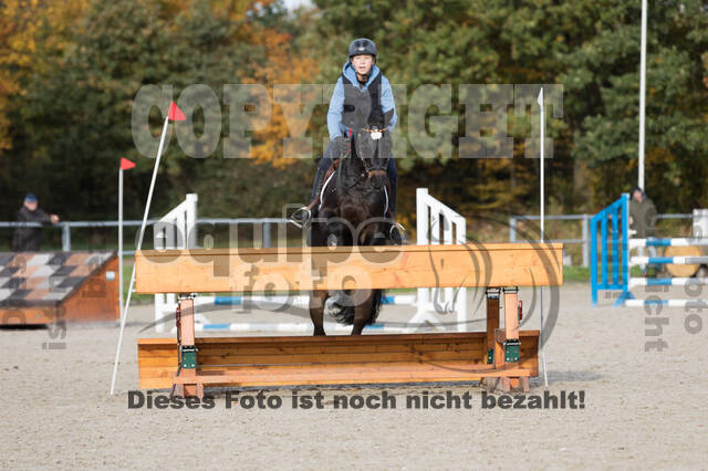 IGV Lehrgang der Sieger der Cups mit Frank Ostholt