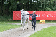 FEI European Championship Eventing 2017