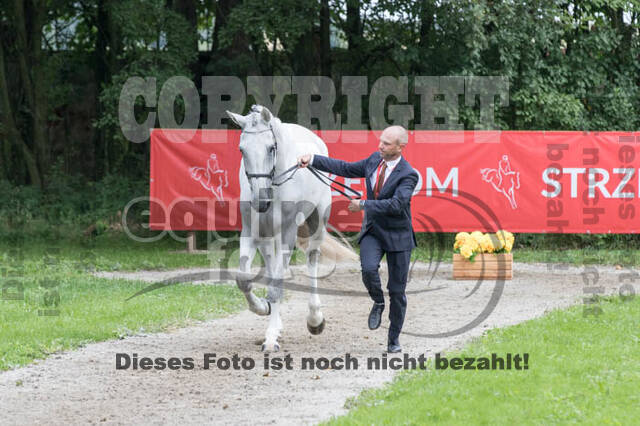FEI European Championship Eventing 2017