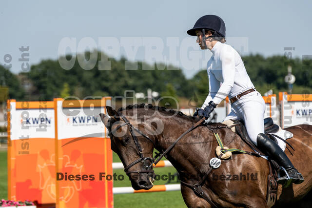 Kronenberg - De Peelbergen (August 2020)