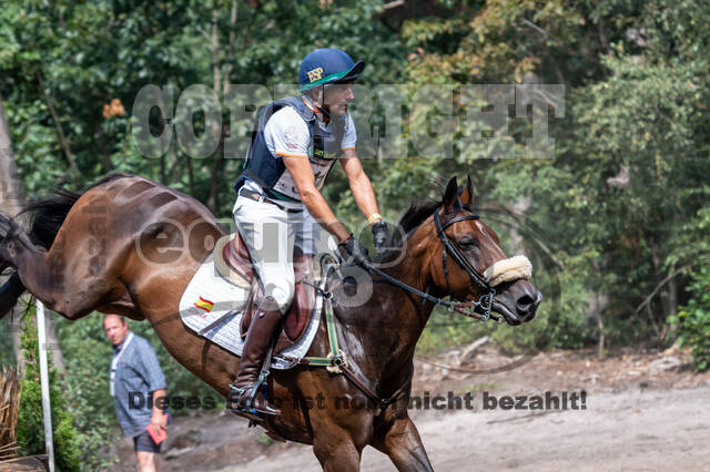 De Peelbergen (August 2020)