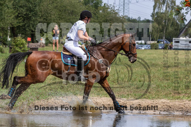 Late-Entry-Vielseitigkeit Gahlen (18.07.2020)