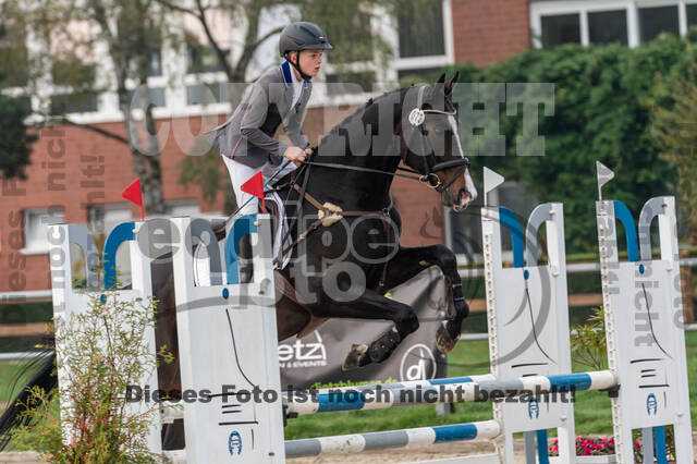 Goldene Schärpe 2020 - Pferde