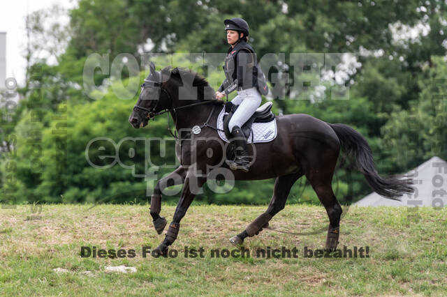 Late-Entry-Vielseitigkeit Langenfeld (11.+13./14.06.2020)