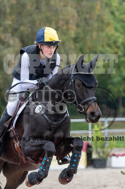 Goldene Schärpe 2020 - Pferde