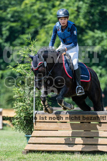 Goldene Schärpe 2021 - Ponys