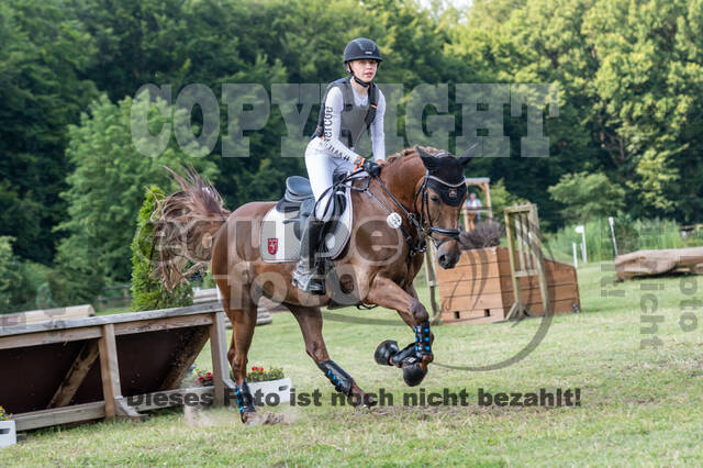 Goldene Schärpe 2021 - Ponys