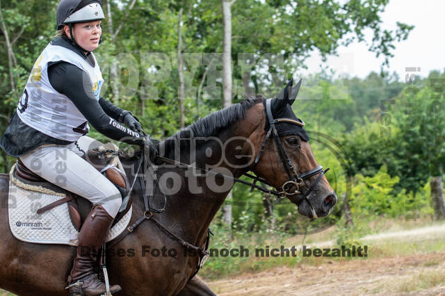 Late-Entry Vielseitigkeit Hamminkeln/Wesel (01.+02.08.2020)