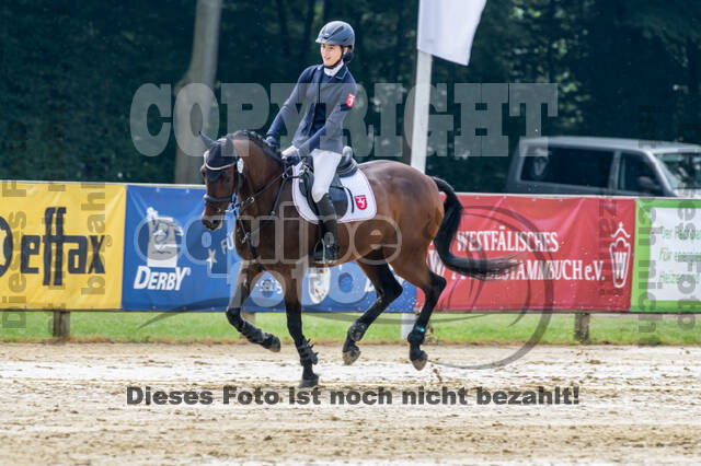 Goldene Schärpe 2021 - Ponys