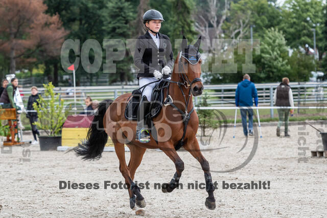 Late-Entry-Vielseitigkeit Langenfeld (06.+07.07.2020)