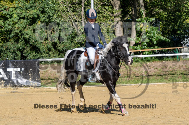 RFV Dinslaken-Hiesfeld (Herbstturnier)