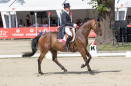 European Championship Eventing 2017