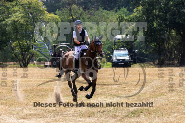 Late-Entry Vielseitigkeit Hamminkeln/Wesel (01.+02.08.2020)